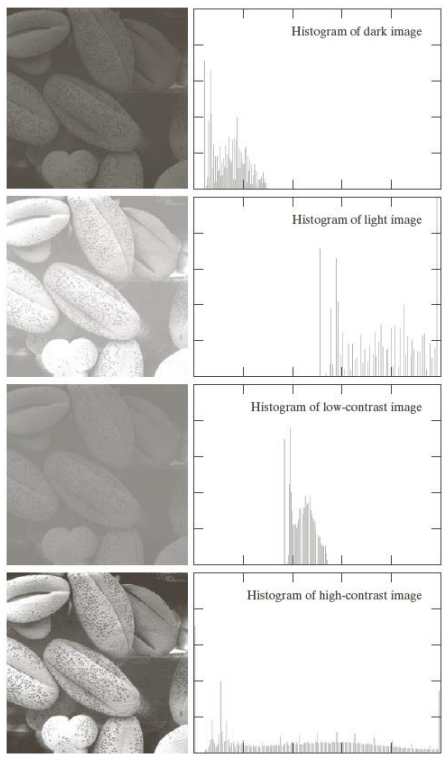 Different examples of histograms