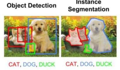 object detection vs instance segmentation