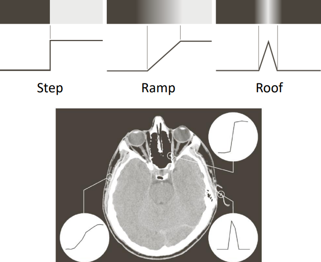 Step versus ramp versus roof